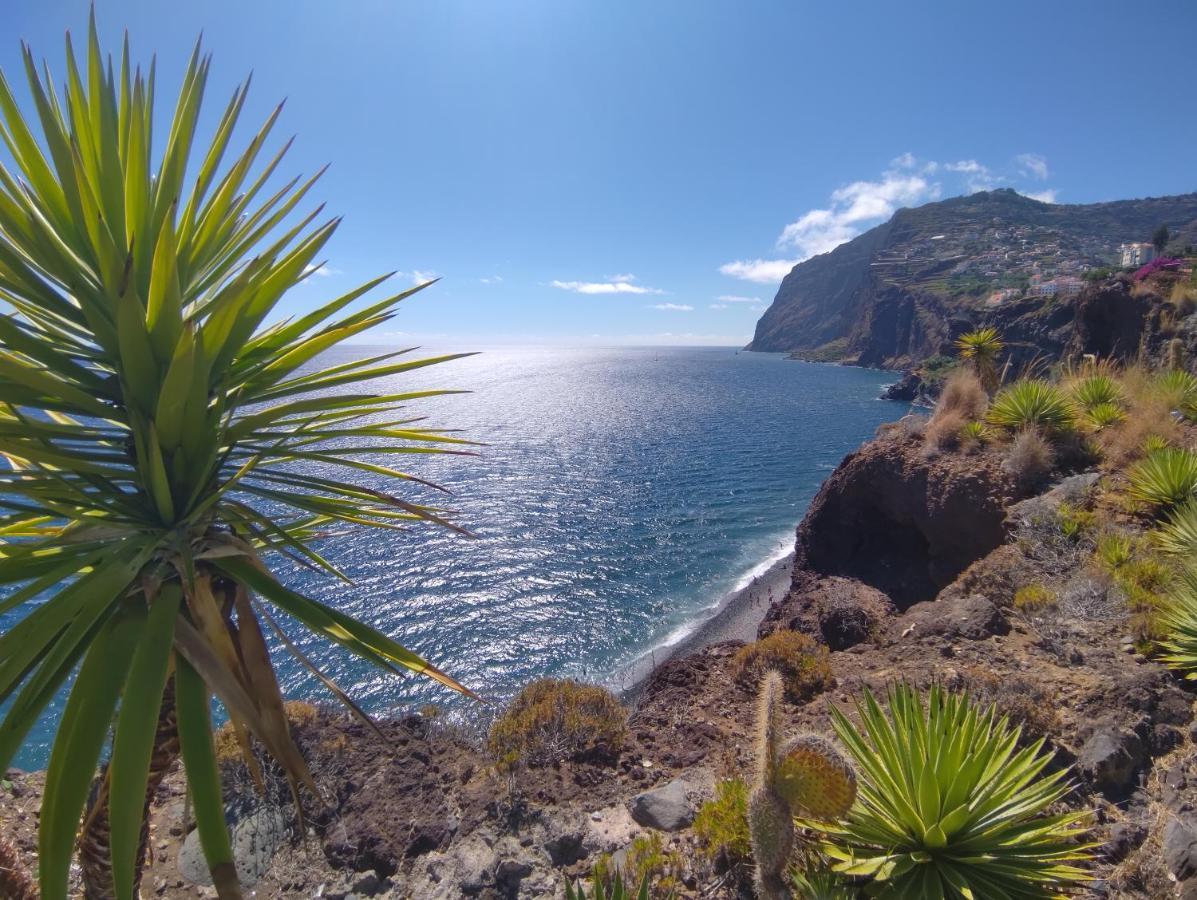 Attic Bay Apartment Câmara de Lobos Екстериор снимка